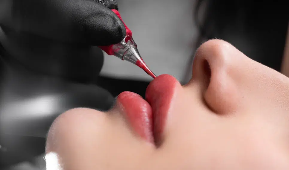 Formation PMU ARTIST : Initiation lèvres